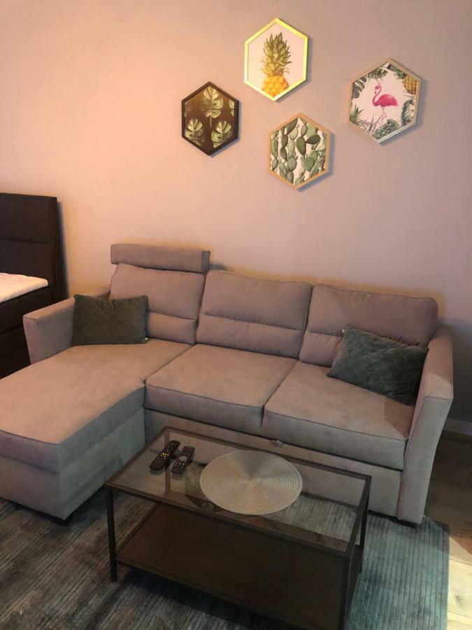 Apartament Flaming Z Balkonem - Scisle Centrum Naprzeciwko Pkp I Pks - Self Check In - Darmowy Parking - Pozne Wymeldowanie - Wystawiamy Fv Ополе Экстерьер фото